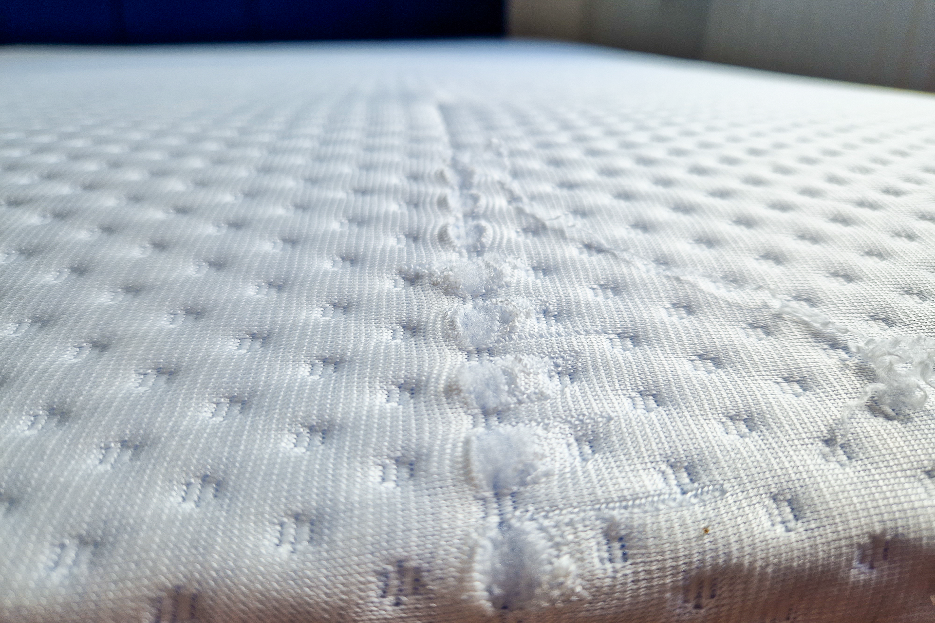 emma premium cover rip